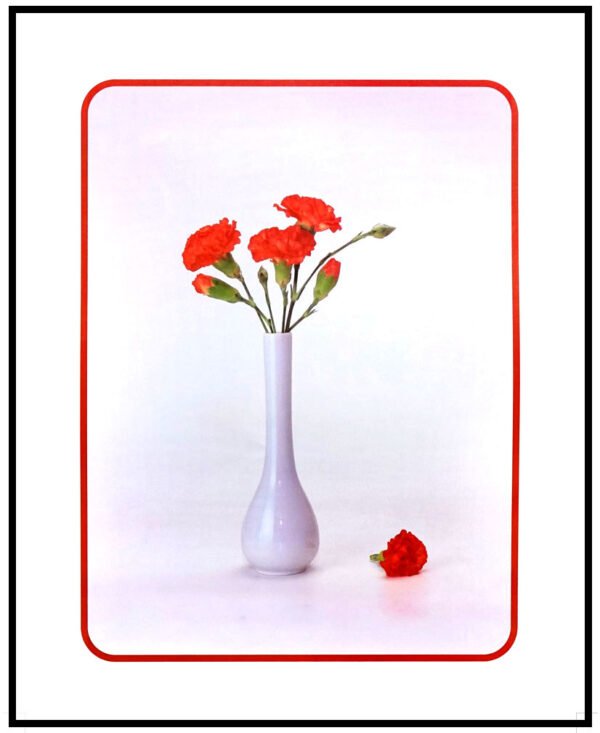 AK VH5512 Carnations